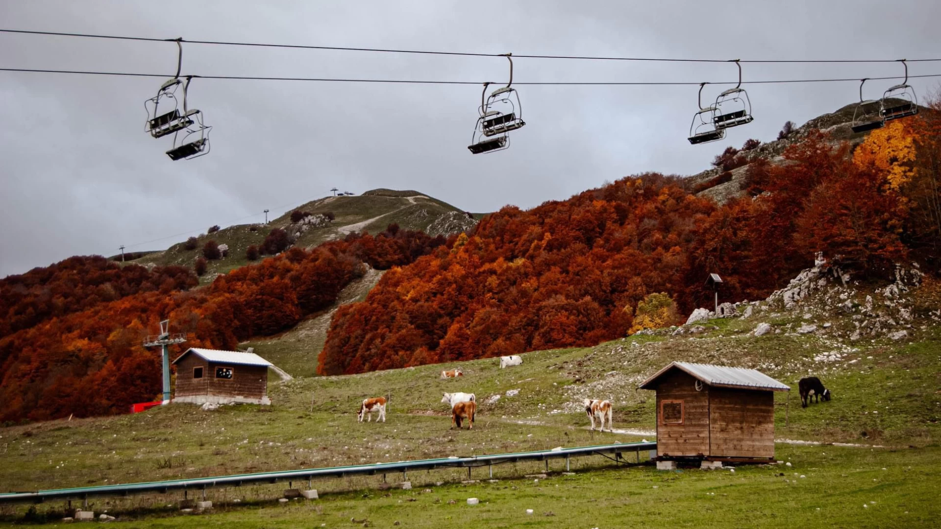 Folliage in Molise, tra ottobre e novembre spettacolo incredibile a Campitello Matese.